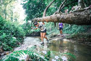 BIB: 
                            <button type="button" onclick="openModal(25437147)" class="btn btn-primary btn-sm float-right btn-popup" data-toggle="modal" data-target=".modal-high-quality">
                        <i class="fas fa-shopping-cart"></i> Add to Cart
                    </button>
                                            <button type="button" onclick="isThisMe(25437147, true)" class="btn btn-success btn-sm float-right btn-popup btn-isme hidden" data-toggle="tooltip" data-placement="bottom" title="นี่คือรูปของคุณใช่ไหม คลิกที่นี่เพื่อเอาเข้าอัลบั้ม">
                        <i class="fas fa-plus"></i> Add to album
                    </button>
                    <button type="button" onclick="isThisMe(25437147, false)" class="btn btn-warning btn-sm float-right btn-popup btn-isnotme hidden">
                        <i class="fas fa-ban"></i> Remove from album
                    </button>